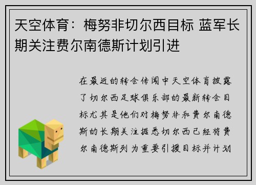 天空体育:梅努非切尔西目标 蓝军长期关注费尔南德斯计划引进
